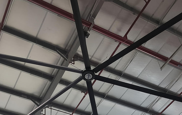 Poor Air Quality and High Humidity in Livestock Farms? Maybe What You’re Missing Is a “Breathing” Industrial Fan